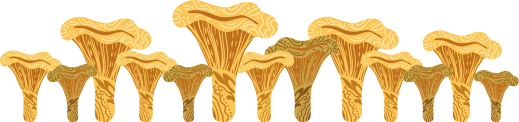 hand drawn chanterelle mushroom border on white background vector farm fungus banner golden boho scandinavian style © pani_Nadichka