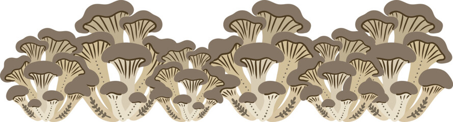 oyster mushroom seamless border hand drawn vector illustration in flat scandinavian style for organic food packaging and web design © pani_Nadichka