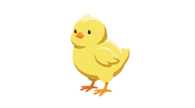 Cute yellow chick with or