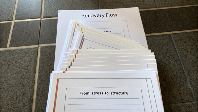 Organized Documents for Recovery Flow Strategy Emphasizing the Transition from Stress to Structure in a Visual Format