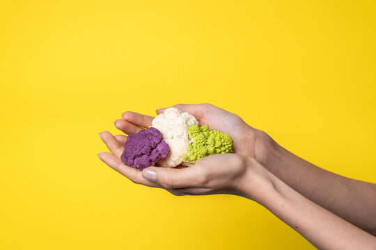 Hands holding colorful cauliflower on bright yellow background