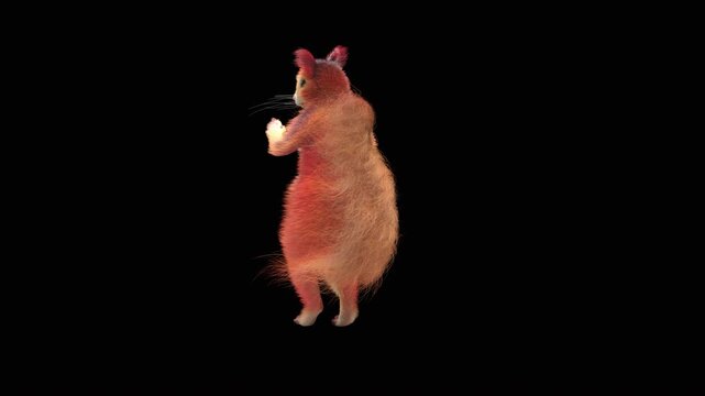 Realistic dancing squirrel performing rumba dance animation with alpha channel transparent background