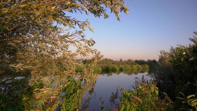 Cinematic View of a Traditional Windmill in the Distance Over a Calm Dutch Lake at Golden Hour, Framed by Willow Branches.