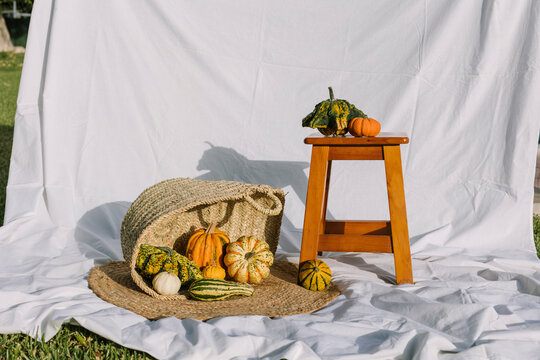 Autumn gourds and pumpkins in rustic outdoor still life