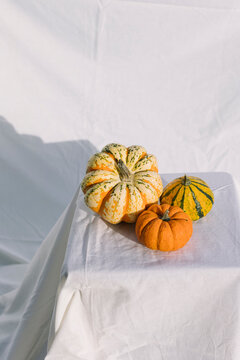 Decorative pumpkins on white cloth in soft natural light