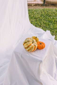 Autumn pumpkins on white draped fabric in garden light