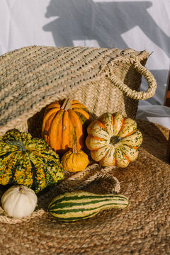 Autumn gourds and pumpkins in woven basket still life