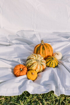 Autumn gourds and pumpkins on white fabric outdoors