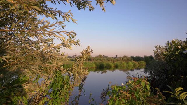 Cinematic View of a Traditional Windmill in the Distance Over a Calm Dutch Lake at Golden Hour, Framed by Willow Branches.