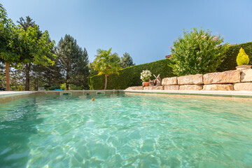Fototapeta premium une piscine dans un jardin en saison d'été