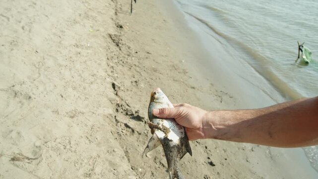 A man holds a freshly caught silver fish on sandy riverbank