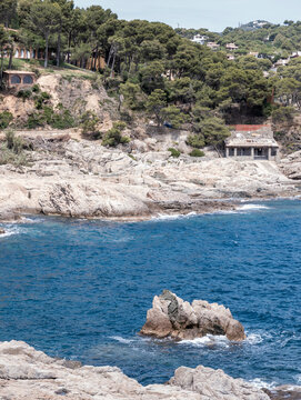 Costa brava coastline with rocky beach and pine trees