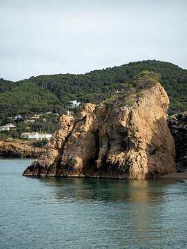 Rocky cliff with green trees meeting the sea