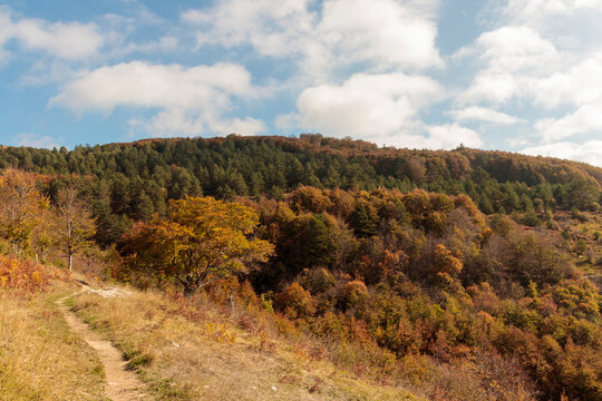 Autumn mountain landscape with winding hiking trail
