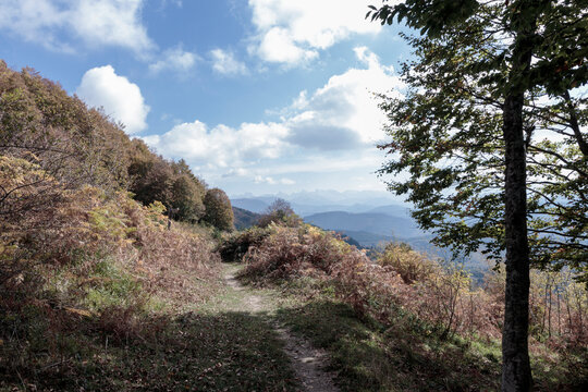 Autumn hiking trail winding through mountain foliage
