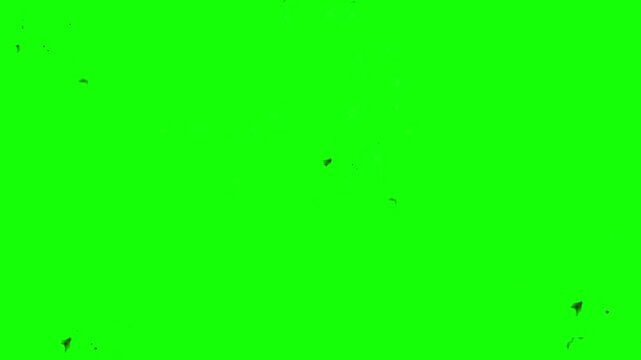 Colorful fireworks exploding in the sky with sparks flying on green screen background with video bright fireworks bursting sparkling patterns against chroma key background