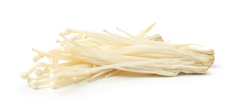 Clusters of raw enoki mushrooms isolated on white