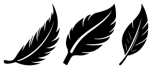 Decorative feather silhouettes collection in bold graphic style © Aisha Kudorova