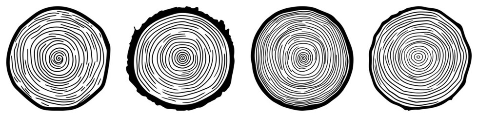 Tree trunk cross section collection with detailed growth rings © Aisha Kudorova