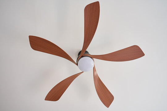 Ceiling fan with five wooden blades and integrated light mounted on white ceiling
