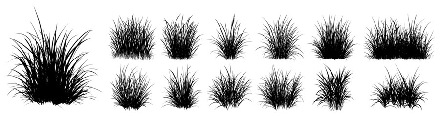 Grass tufts and wild plant silhouettes set for landscape design in detailed vector style © Aisha Kudorova