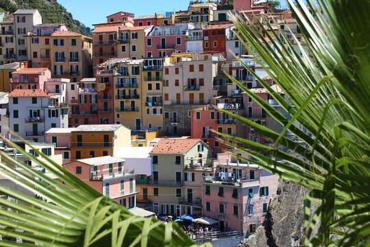 Manarola