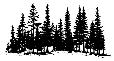 Pine trees forest silhouette with wild coniferous woodland landscape © Aisha Kudorova