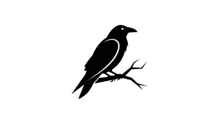 Obraz premium Silhouette of a black crow perched on a bare branch against a white background.