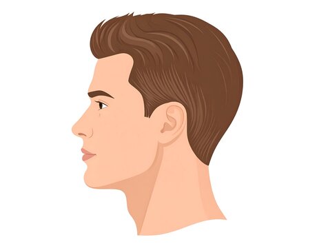 A side-profile illustration of a male's head and neck, rendered with smooth, flat colors and highlights, showcasing detailed facial features and brown hair