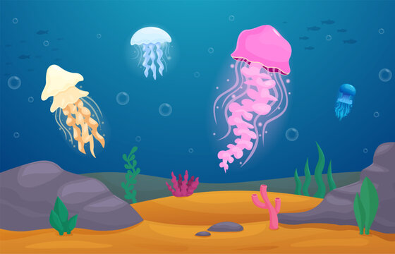 Jellyfish underwater. Bright illustration with sea depths characters, seaweeds and stones. Vibrant neon jellyfish, ocean life, nautical sapid vector scene