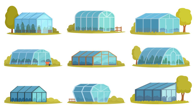 Cartoon greenhouses. Isolated garden glass buildings for exotic tropical plants, fruits, vegetables. Smart farming, agriculture complex, sapid vector set
