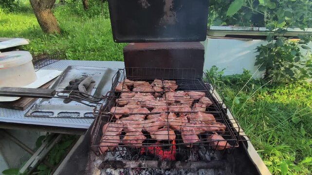 Juicy sizzling shish kebab grilling on a charcoal grill outdoors on a summer day.