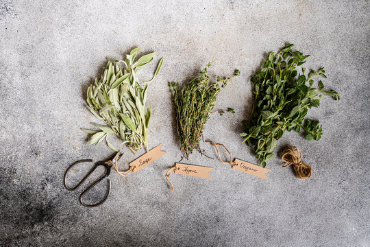 Fresh herbs on slate with tags and scissors