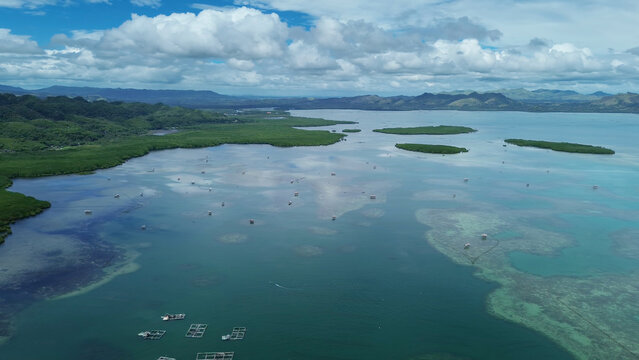 Fish farm with cages for fish and shrimp