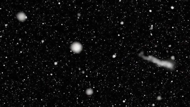 White snowflakes falling against a dark black background texture