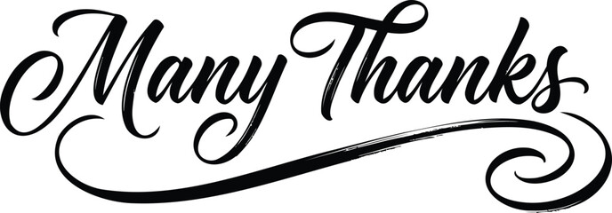 Obraz premium Many Thanks Elegant Script Hand Lettering Calligraphy Typography Vector