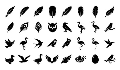 Stylized black feather and bird silhouette icon set with wings quills flying birds and decorative nature symbols isolated on white background © Jahangir