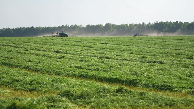 Wide view of agricultural machinery harvesting green forage in a large rural field