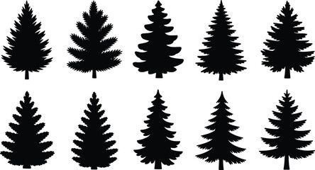 Fototapeta premium Evergreen tree silhouettes collection pine spruce fir conifer forest nature botanical vector illustration design outdoor landscape decorative art set