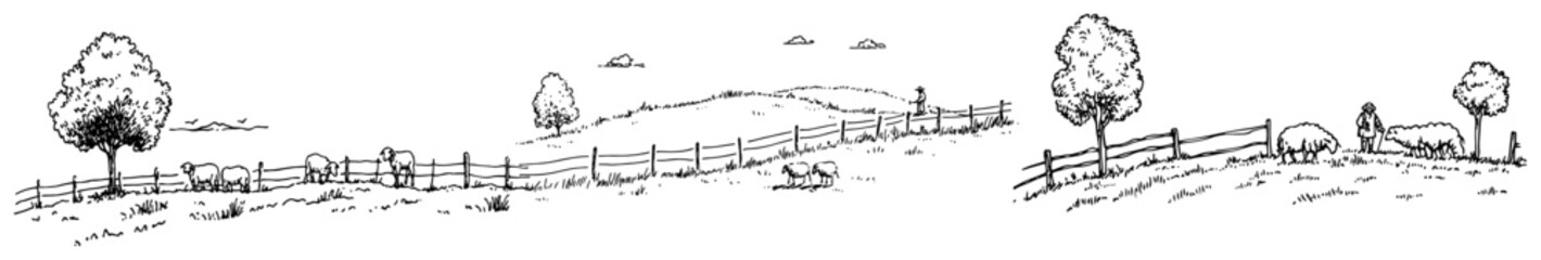 Obraz premium Pastoral countryside scene with sheep grazing on rolling hills near wooden fences in hand drawn doodle style