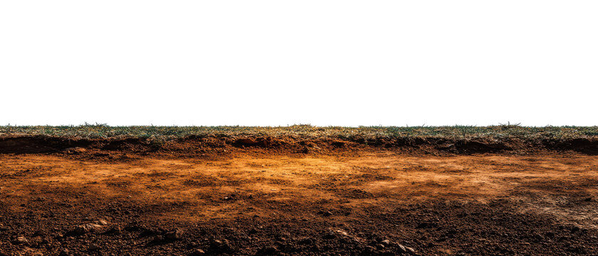 field with cutout isolated illustration on transparent background cutout isolated cutout isolated illustraion on transparent background