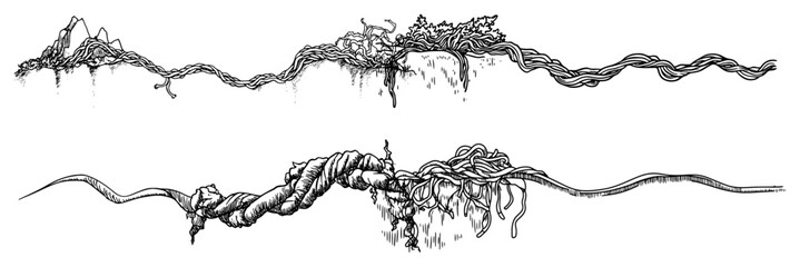 Tangled tree roots and climbing vines growing along ground in hand drawn ink sketch style © Kaz
