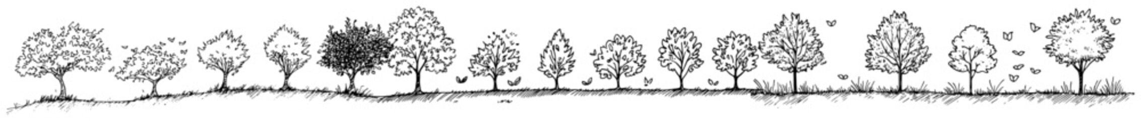 Various types of deciduous and coniferous trees in a long row in vintage engraving style © Kaz