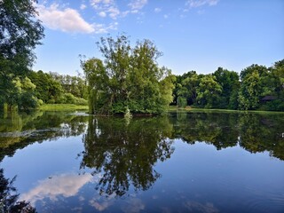 Fototapeta premium pond in the village of Trnávka