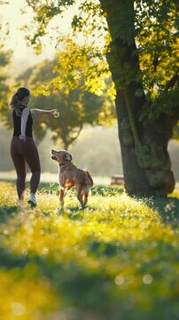 Woman with brown hair in black tank top plays with golden retriever dog in sunlit park, surrounded by green grass and trees during a warm afternoon