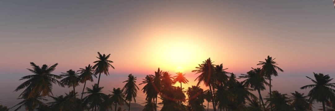 Sunset, palm trees in the sunlight, sunset over water, palm tree silhouettes, 3D rendering