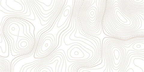 Geographic abstract pattern. The topo contour or wallpaper.Mountain trail terrain or path.paper texture Imitation of a geographical map shades. © AFROZAOPORNA