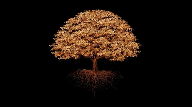 Autumn Tree with Exposed Root System Sacred Tree