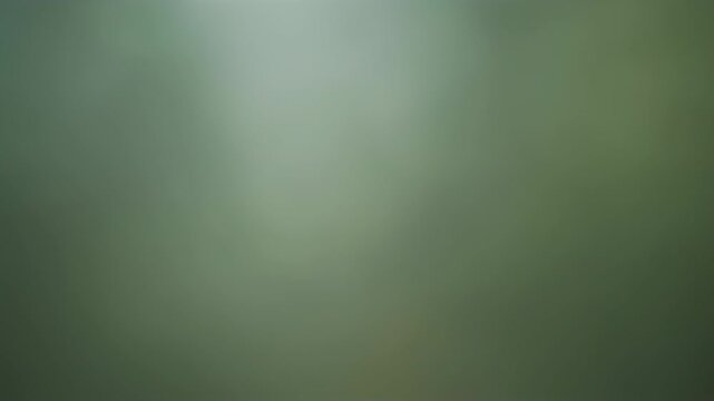 Muted olive green blurred background