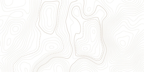 Topographic map. Topographical background. Linear graphics.Contour background geographic grid. Vector illustration. © MITA